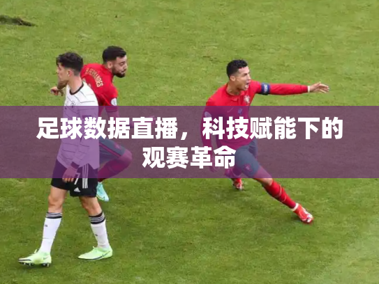 足球数据直播，科技赋能下的观赛革命