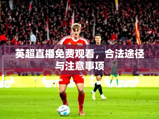 英超直播免费观看，合法途径与注意事项