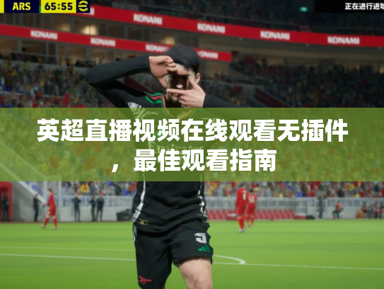 英超直播视频在线观看无插件，最佳观看指南