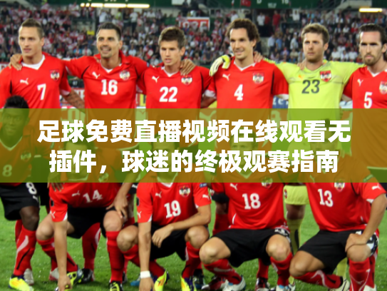 足球免费直播视频在线观看无插件，球迷的终极观赛指南