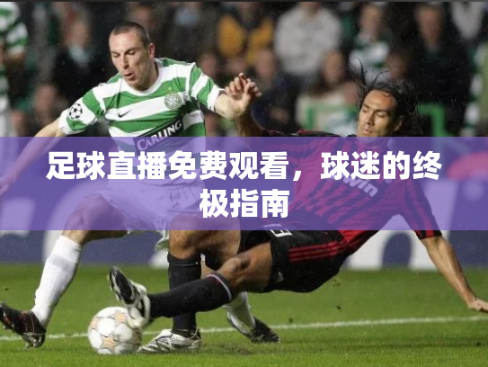 足球直播免费观看，球迷的终极指南