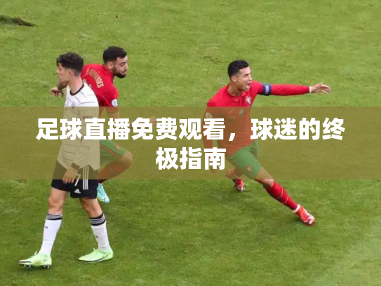 足球直播免费观看，球迷的终极指南