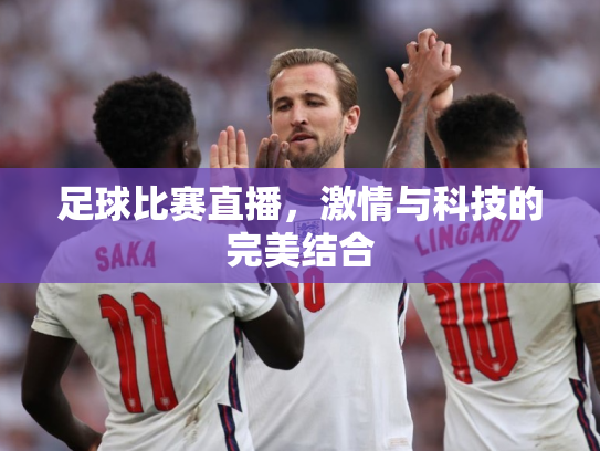 足球比赛直播，激情与科技的完美结合