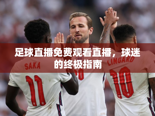 足球直播免费观看直播，球迷的终极指南
