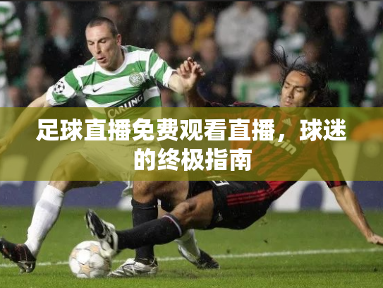足球直播免费观看直播，球迷的终极指南