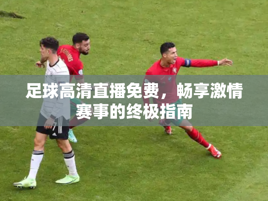 足球高清直播免费，畅享激情赛事的终极指南