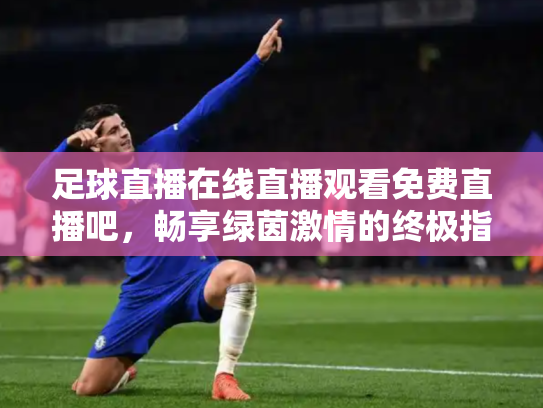 足球直播在线直播观看免费直播吧，畅享绿茵激情的终极指南