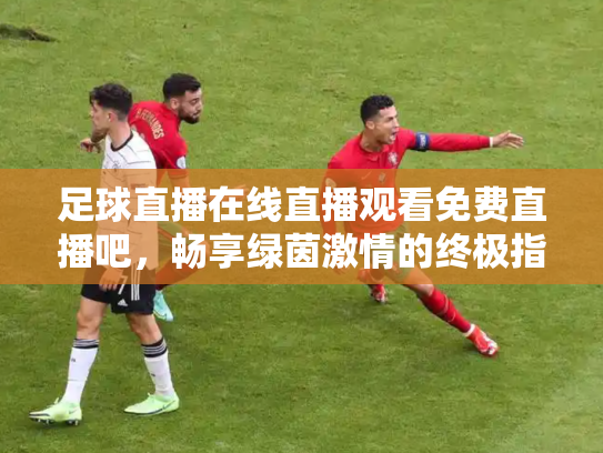 足球直播在线直播观看免费直播吧，畅享绿茵激情的终极指南