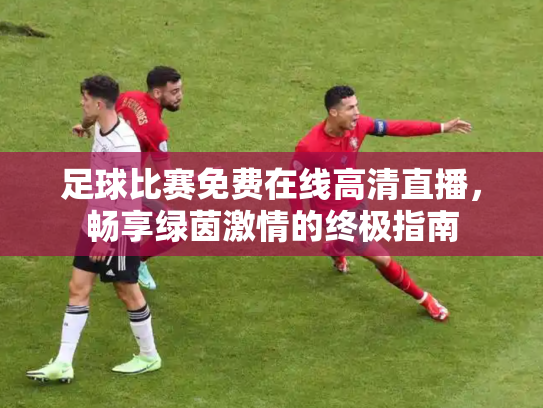 足球比赛免费在线高清直播，畅享绿茵激情的终极指南