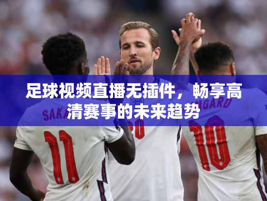 足球视频直播无插件，畅享高清赛事的未来趋势