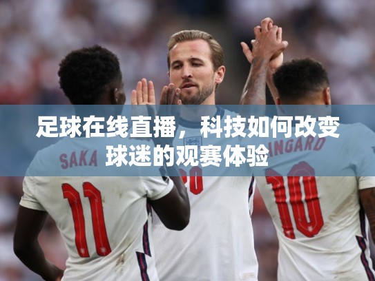足球在线直播，科技如何改变球迷的观赛体验