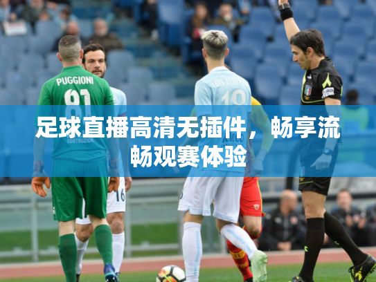 足球直播高清无插件，畅享流畅观赛体验