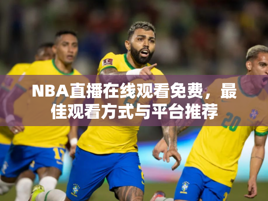 NBA直播在线观看免费，最佳观看方式与平台推荐