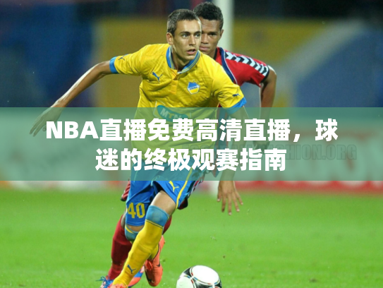 NBA直播免费高清直播，球迷的终极观赛指南