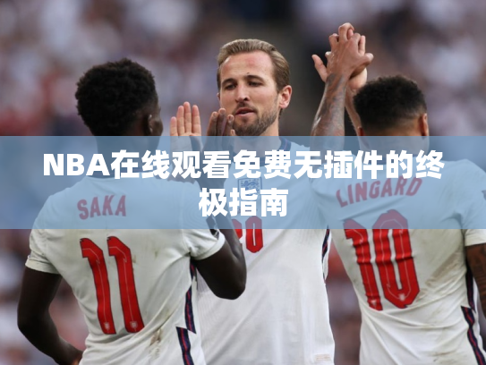 NBA在线观看免费无插件的终极指南