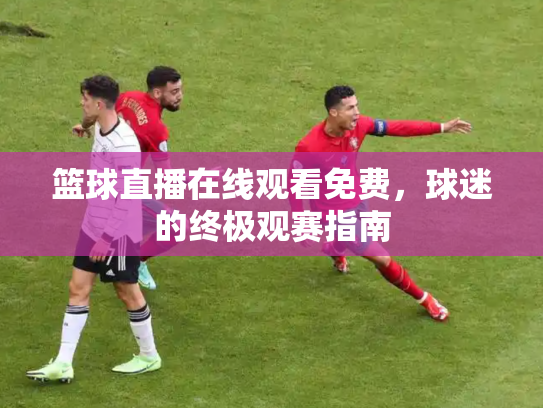 篮球直播在线观看免费，球迷的终极观赛指南