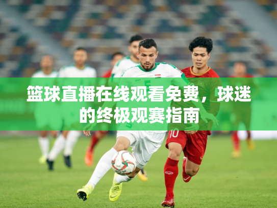 篮球直播在线观看免费，球迷的终极观赛指南