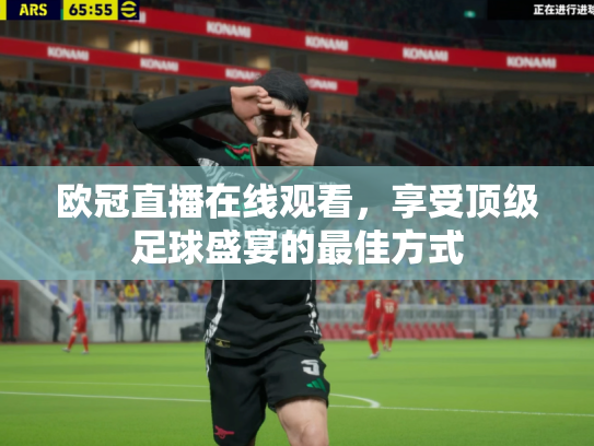 欧冠直播在线观看，享受顶级足球盛宴的最佳方式
