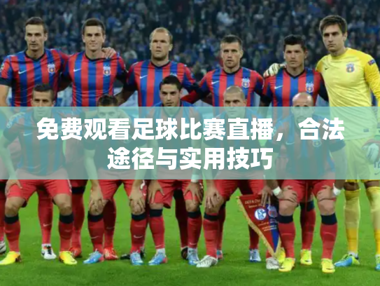免费观看足球比赛直播，合法途径与实用技巧