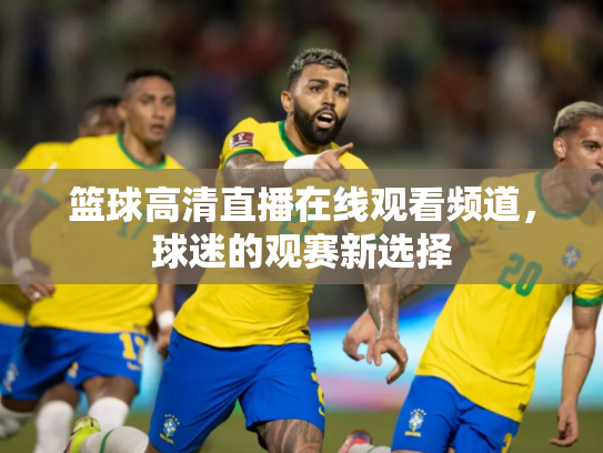 篮球高清直播在线观看频道，球迷的观赛新选择