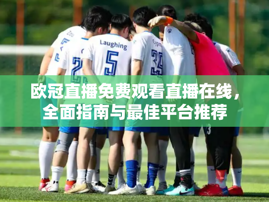 欧冠直播免费观看直播在线，全面指南与最佳平台推荐