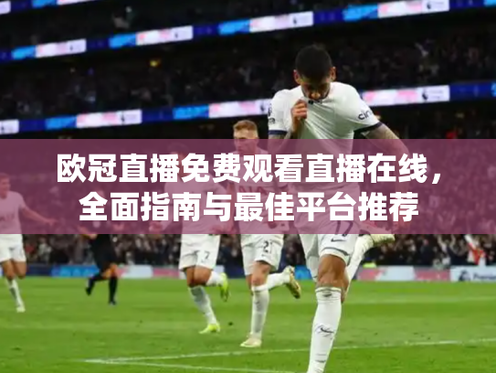 欧冠直播免费观看直播在线，全面指南与最佳平台推荐