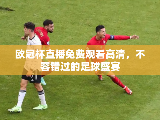 欧冠杯直播免费观看高清，不容错过的足球盛宴