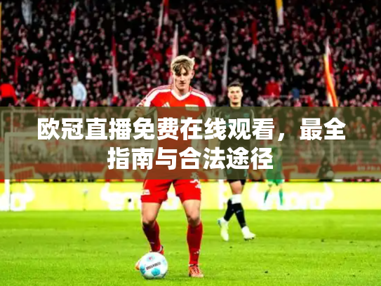 欧冠直播免费在线观看，最全指南与合法途径