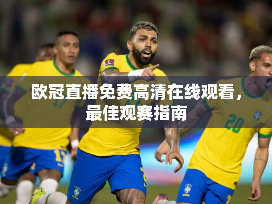 欧冠直播免费高清在线观看，最佳观赛指南