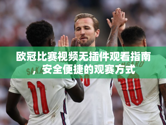 欧冠比赛视频无插件观看指南，安全便捷的观赛方式