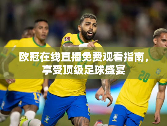 欧冠在线直播免费观看指南，享受顶级足球盛宴