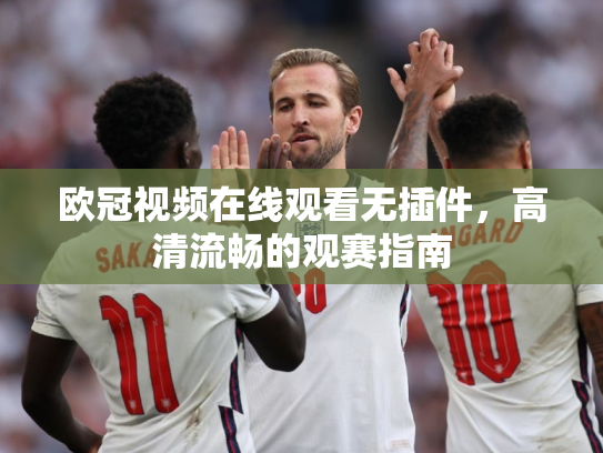 欧冠视频在线观看无插件，高清流畅的观赛指南