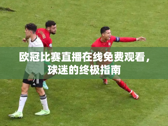 欧冠比赛直播在线免费观看，球迷的终极指南