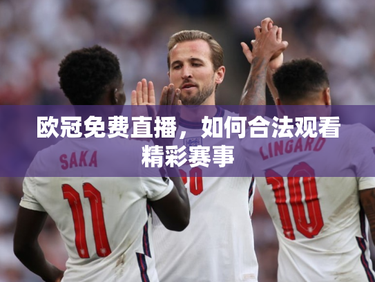 欧冠免费直播，如何合法观看精彩赛事