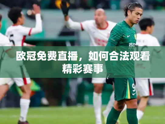欧冠免费直播，如何合法观看精彩赛事