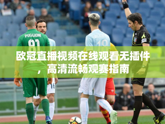 欧冠直播视频在线观看无插件，高清流畅观赛指南