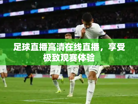 足球直播高清在线直播，享受极致观赛体验