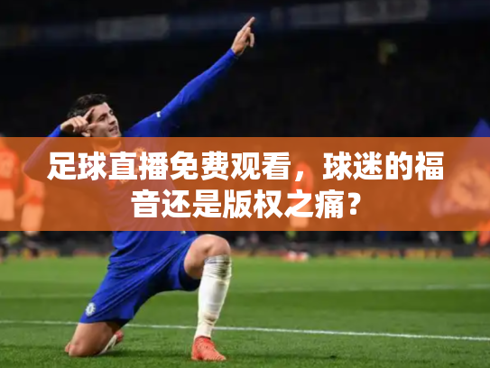 足球直播免费观看，球迷的福音还是版权之痛？