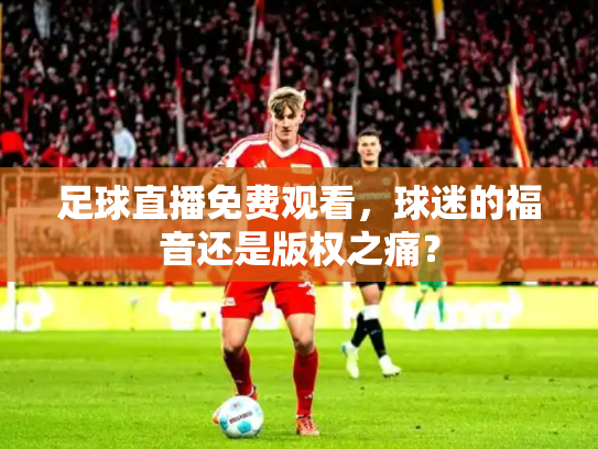 足球直播免费观看，球迷的福音还是版权之痛？