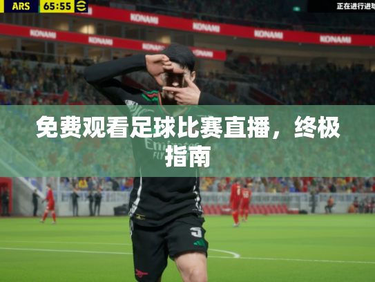 免费观看足球比赛直播，终极指南