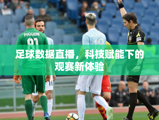 足球数据直播，科技赋能下的观赛新体验