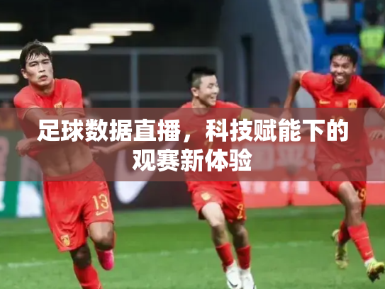 足球数据直播，科技赋能下的观赛新体验