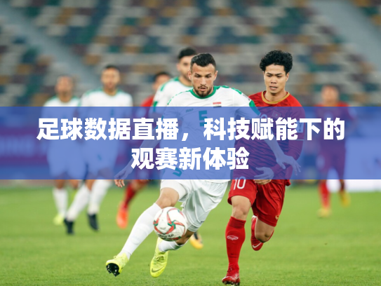 足球数据直播，科技赋能下的观赛新体验