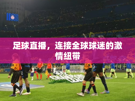 足球直播，连接全球球迷的激情纽带