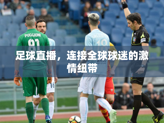 足球直播，连接全球球迷的激情纽带
