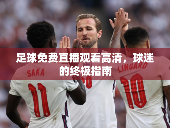 足球免费直播观看高清，球迷的终极指南