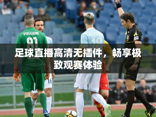 足球直播高清无插件，畅享极致观赛体验