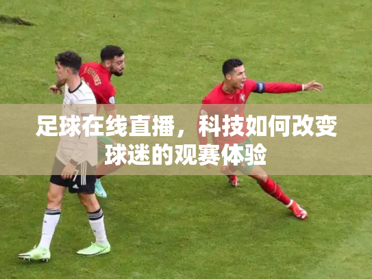 足球在线直播，科技如何改变球迷的观赛体验