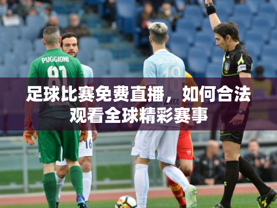 足球比赛免费直播，如何合法观看全球精彩赛事