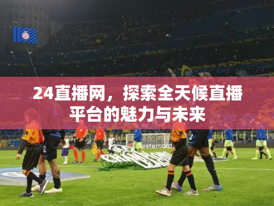 24直播网，探索全天候直播平台的魅力与未来